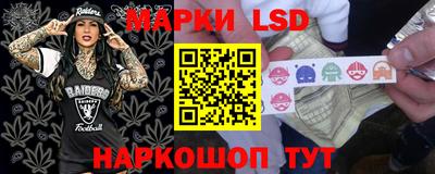 гашик Кулебаки